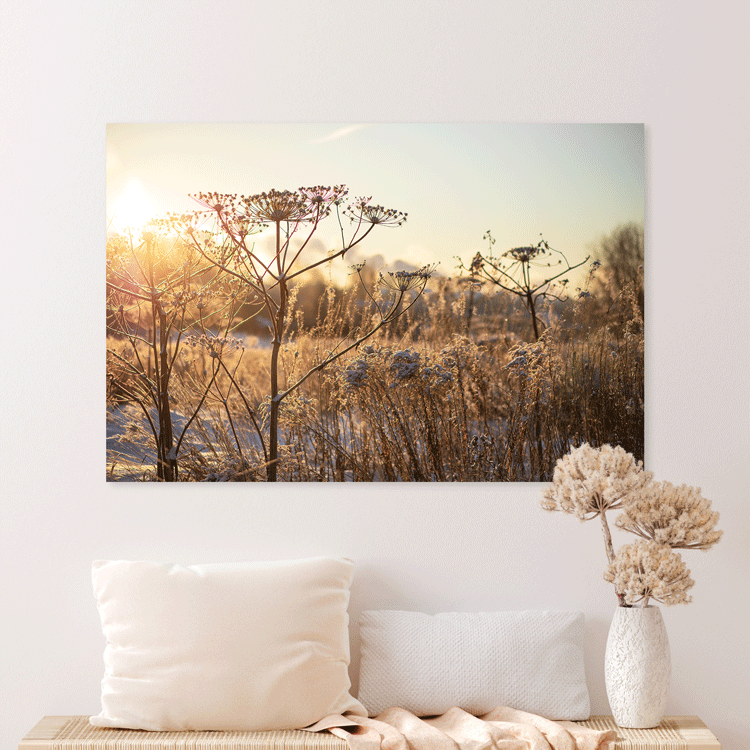 Droogbloemen of Decoratietakken kopen? Bekijk ons aanbod