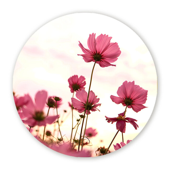 Sweet Living Wandcirkel Bloemen Roze