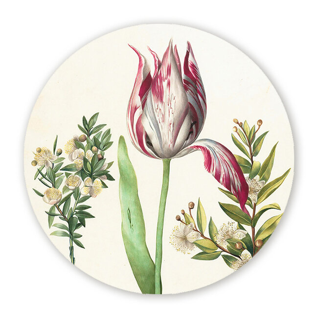 Sweet Living Wandcirkel Tulpen Vrolijk Boeket