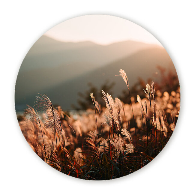 Sweet Living Wandcirkel Bloemenveld met Zon