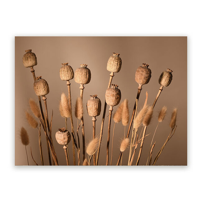 Sweet Living Schilderij Papaverbloem Bruin
