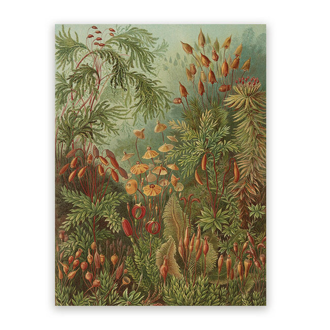 Sweet Living Schilderij Tropische Bloemen