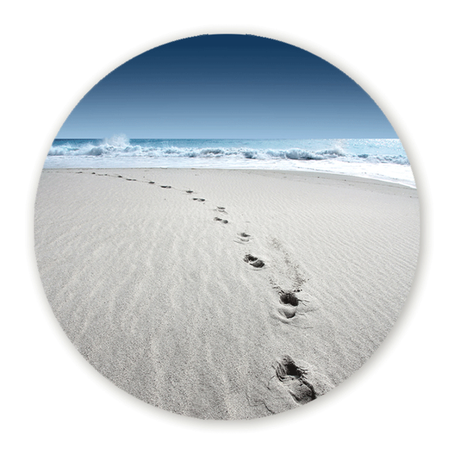 Sweet Living Wandcirkel Wandeling langs de Zee