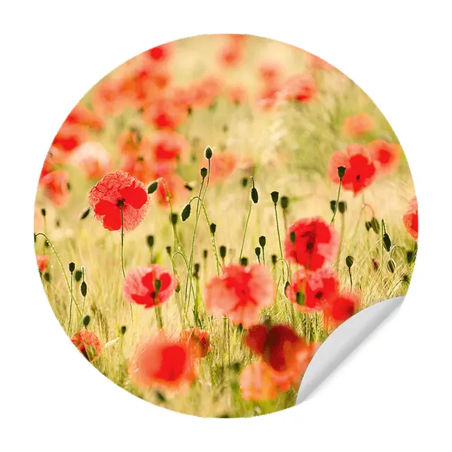 Sweet Living Muursticker Poppy Flowers