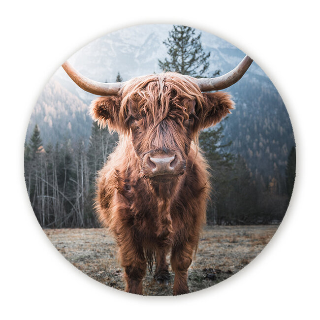 Sweet Living Wandcirkel Schotse Close-Up