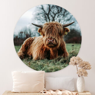 Sweet Living Wandcirkel Hooglander in Rust