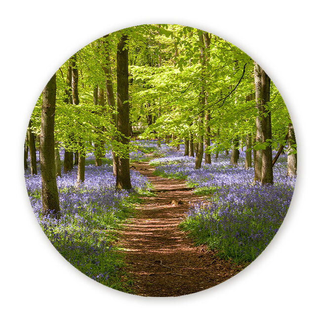 Sweet Living Wandcirkel Bospad door Bloeiende Boshyacinten