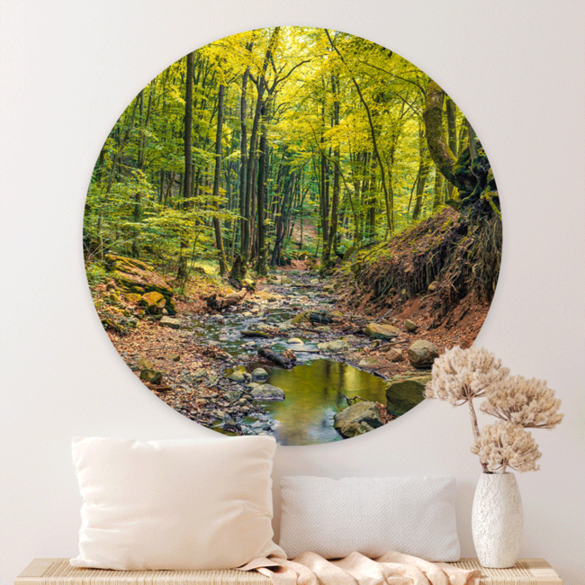 Sweet Living Wandcirkel Prachtig Herfstbos