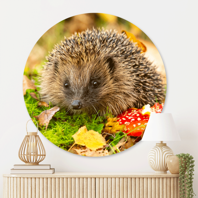 Sweet Living Wandcirkel Egel in Herfstlandschap