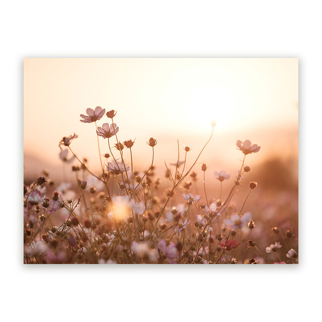 Sweet Living Schilderij Delicate Veldbloemen