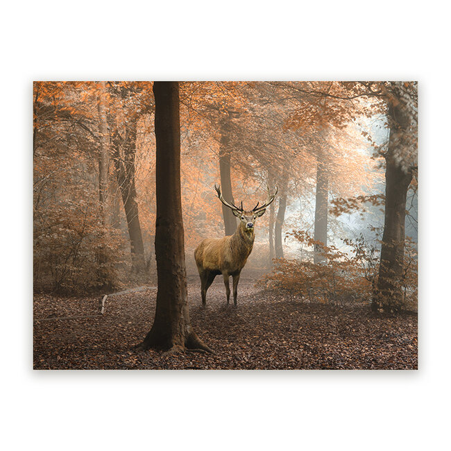 Sweet Living Schilderij Hert in Herfstbos - Liggend