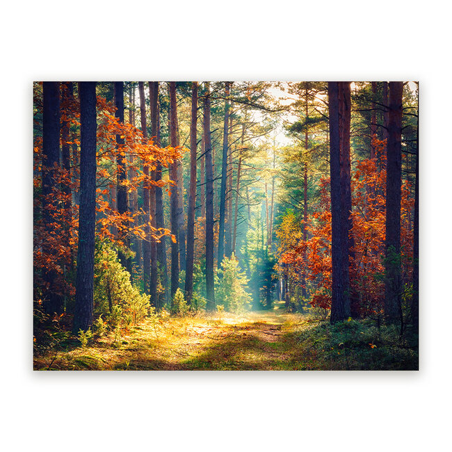 Sweet Living Schilderij Herfstbos bij Ochtendgloren - Liggend