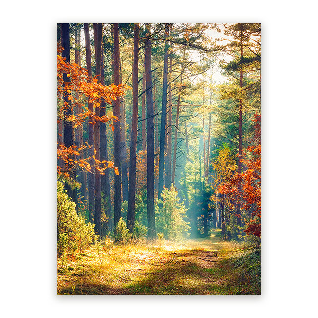 Sweet Living Schilderij Herfstbos bij Ochtendgloren - Staand