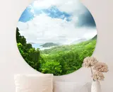 Waarom ronde wanddecoratie anno 2025 zo populair is