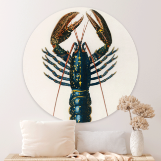 Sweet Living Wandcirkel Lobster II