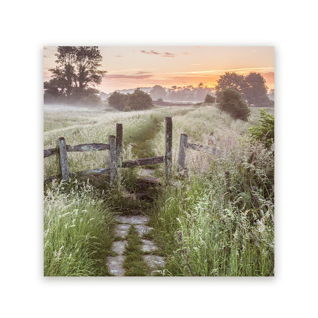 Sweet Living Schilderij Zomerse Zonsopgang over het Veld - Vierkant