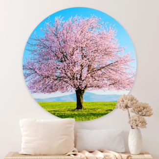 Sweet Living Wandcirkel Japanse Bloesemboom Sweet Living Wandcirkel Japanse Bloesemboom