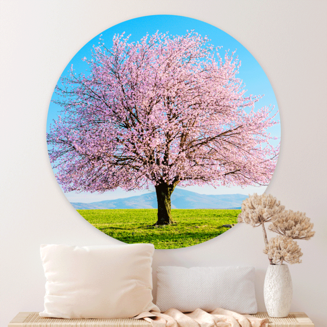 Sweet Living Wandcirkel Japanse Bloesemboom