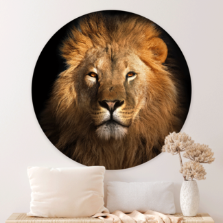 Sweet Living Wandcirkel Koning van de Jungle Sweet Living Wandcirkel Koning van de Jungle