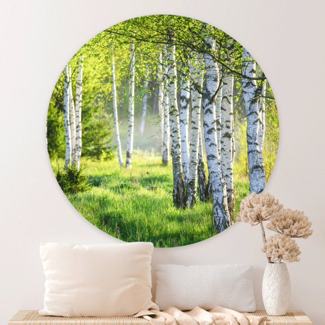 Sweet Living Wandcirkel Lentezon in het Berkenbos