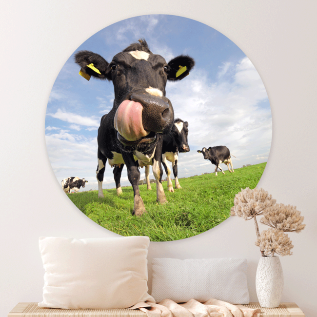 Sweet Living Wandcirkel Koe Close-up
