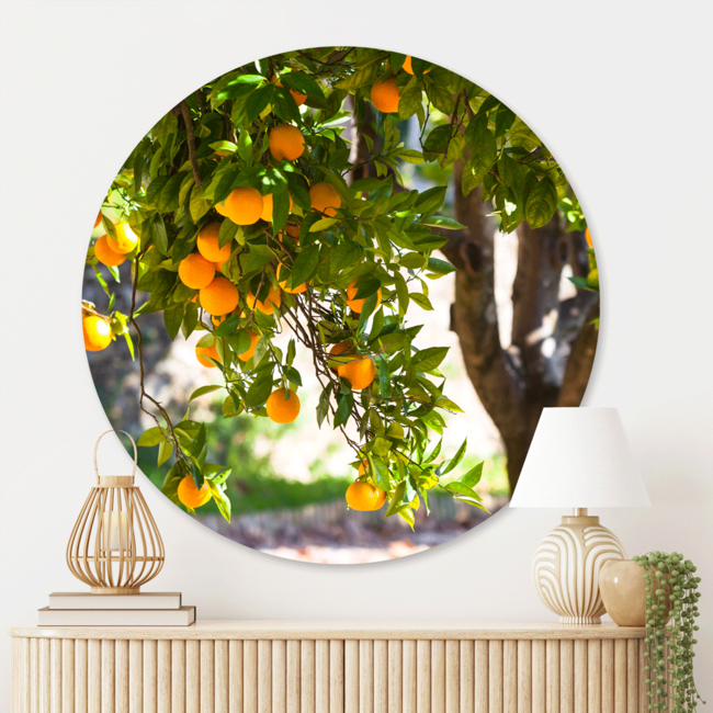 Sweet Living Wandcirkel Sinaasappelboom