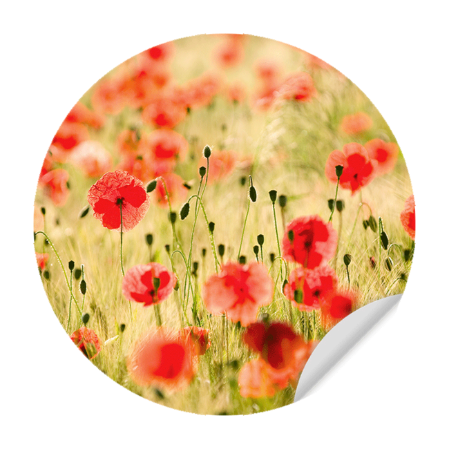 Sweet Living Behangcirkel - Poppy Flowers - Behangsticker