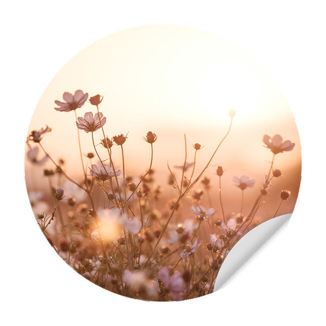 Sweet Living Behangcirkel - Veldbloemen - Behangsticker