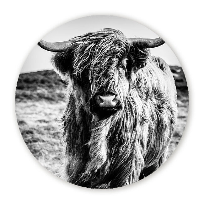 Sweet Living Wandcirkel Wild Highland Beauty - Zwart Wit
