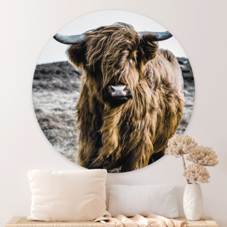Sweet Living Wandcirkel Wild Highland Beauty Sweet Living Wandcirkel Wild Highland Beauty