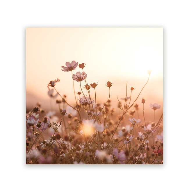 Sweet Living Schilderij Veldbloemen - Vierkant