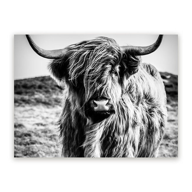 Sweet Living Schilderij Wild Highland Beauty - Zwart Wit - Liggend