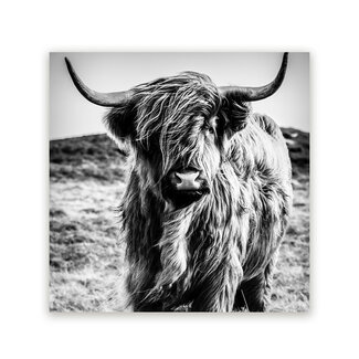 Sweet Living Schilderij Wild Highland Beauty - Zwart Wit - Vierkant Sweet Living Schilderij Wild Highland Beauty - Zwart Wit - Vierkant