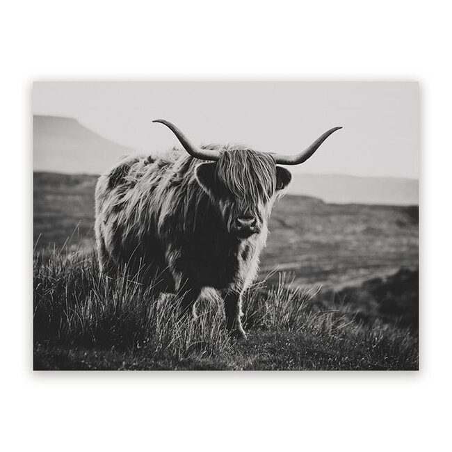 Sweet Living Schilderij Schotse Blik - Zwart Wit - Liggend