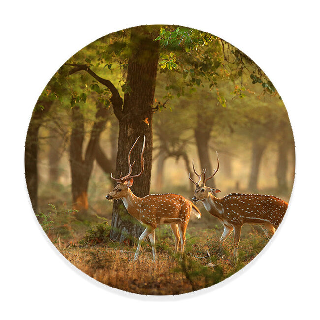 Sweet Living Wandcirkel Herten in Herfstbos