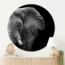 Sweet Living Wandcirkel Krachtige Olifant - Zwart Wit