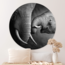 Sweet Living Wandcirkel Olifanten Genegenheid