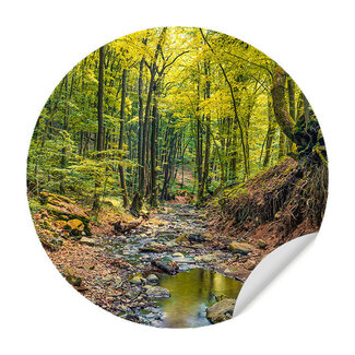 Sweet Living Muursticker Prachtig Herfstbos Sweet Living Muursticker Prachtig Herfstbos