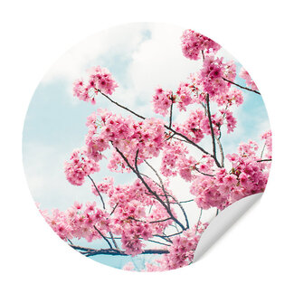 Sweet Living Muursticker Kersenbloem in de Lente Sweet Living Muursticker Kersenbloem in de Lente