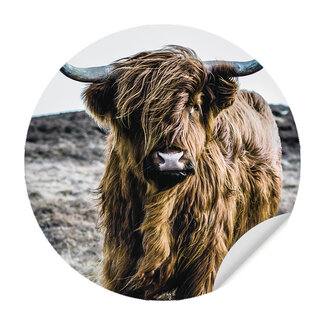 Sweet Living Muursticker Wild Highland Beauty Sweet Living Muursticker Wild Highland Beauty