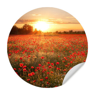 Sweet Living Muursticker Klaprozen onder de Zon