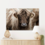 Sweet Living Schilderij Schotse Hooglander Kalf - Liggend