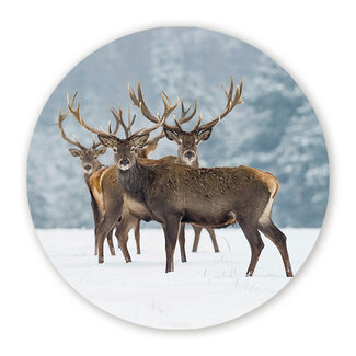 Sweet Living Wandcirkel Winters Monarch Sweet Living Wandcirkel Winters Monarch