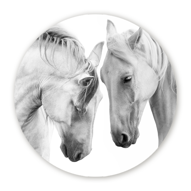 Sweet Living Wandcirkel Witte Paarden