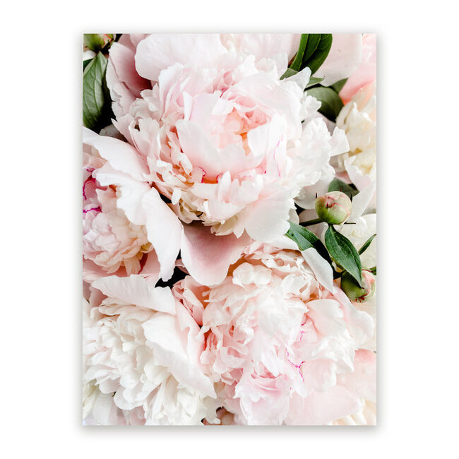 Sweet Living Schilderij Elegante Pioenrozen - Staand