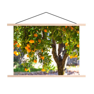 Sweet Living Schoolplaat Sinaasappelboom - Textielposter