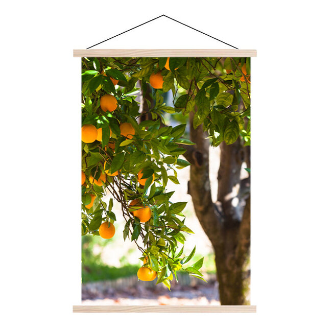 Sweet Living Schoolplaat Sinaasappelboom - Textielposter