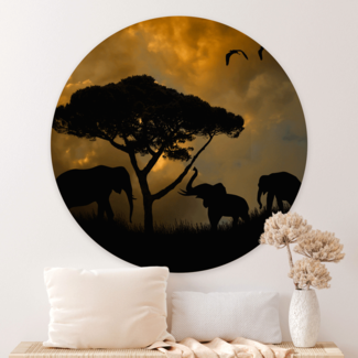 Sweet Living Wandcirkel Elephant at Sunset