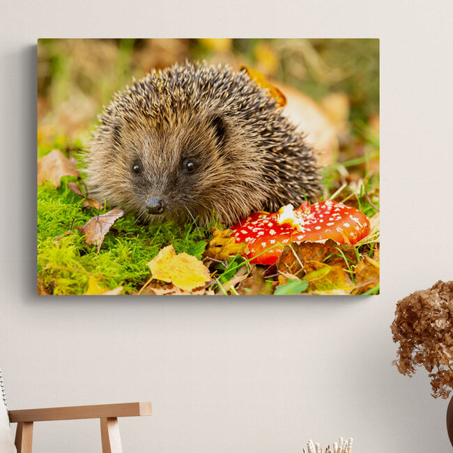 Sweet Living Schilderij Egel in Herfstlandschap - Liggend