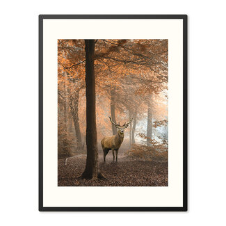Sweet Living Poster in Lijst Hert in Herfstbos